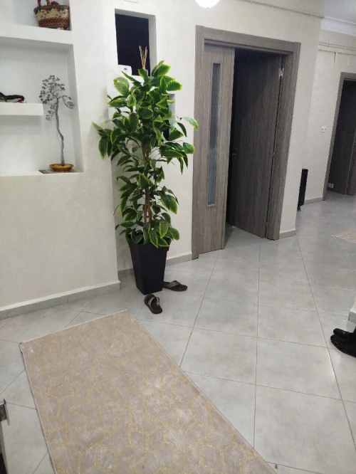 Vente Appartement F3 Chlef Chlef