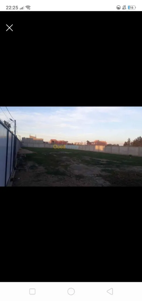Location Terrain Alger Tessala el merdja