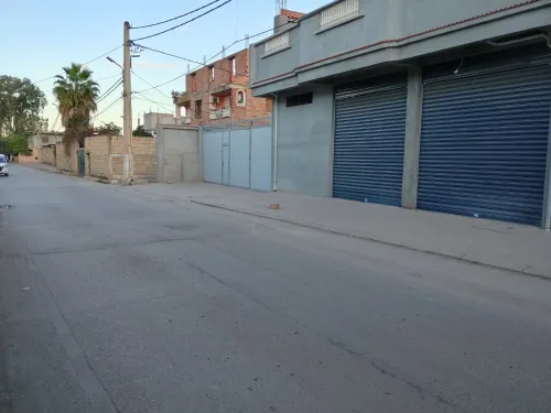 Location Local Alger Tessala el merdja