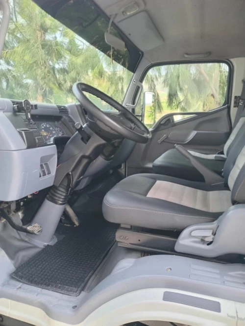 Mitsubishi Fuso 2019