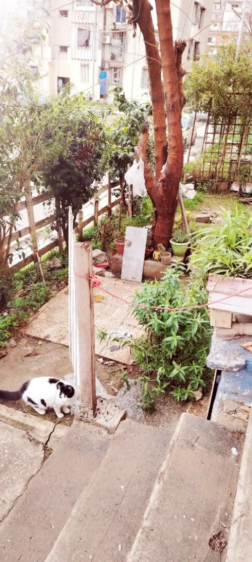 Location Appartement F3 Annaba El bouni