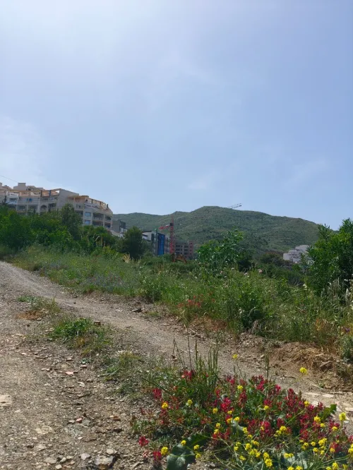 Vente Terrain Béjaïa Bejaia