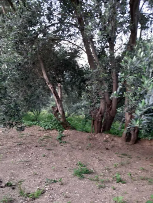 Vente Villa Béjaïa Souk el thenine