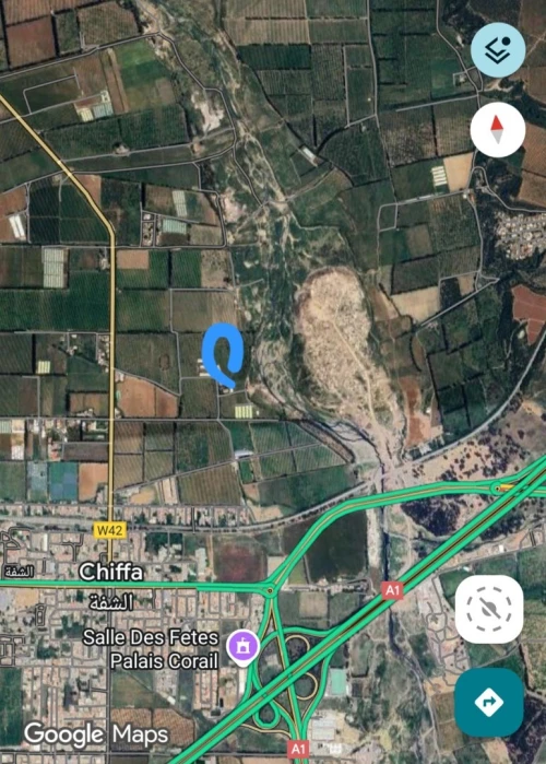 Vente Terrain Blida Chiffa