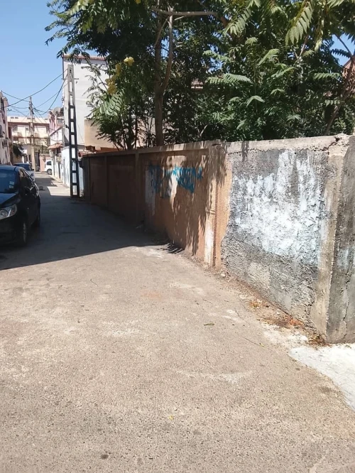 Vente Terrain Blida Blida 6