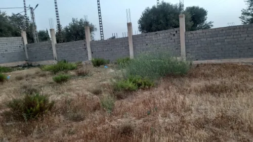Location Terrain Tlemcen Tlemcen