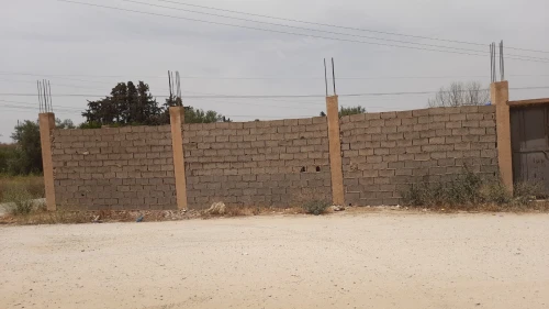 Location Terrain Tlemcen Tlemcen