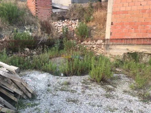Vente Terrain Tizi Ouzou Zekri