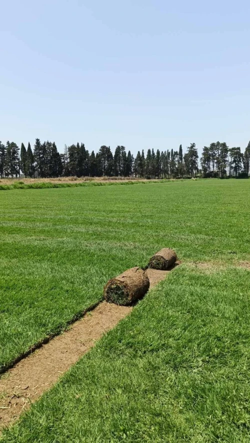 AMENAGEMANT DES ESPACES VERTS