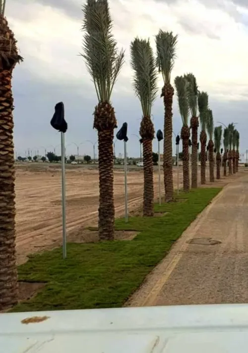 amenagement des espaces verts
