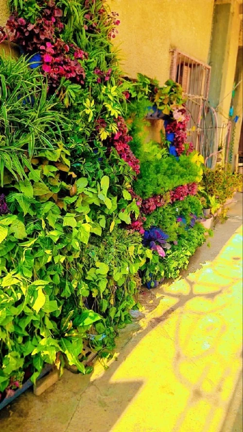 Jardinage 