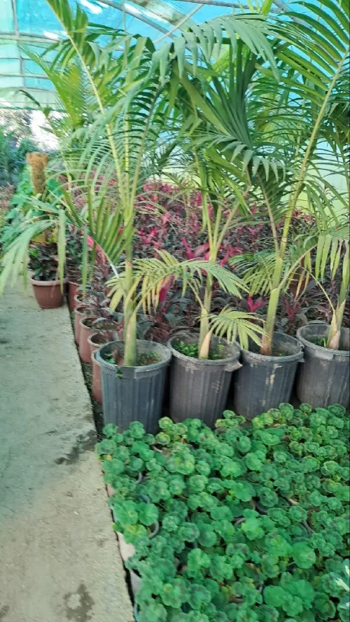 Jardinage