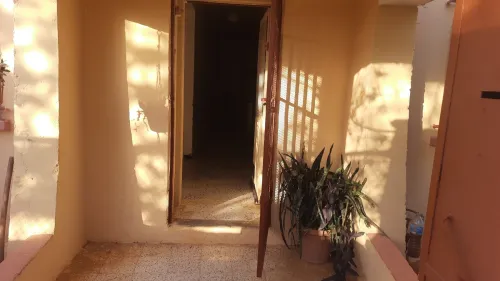 Vente Terrain Saïda Ouled khaled