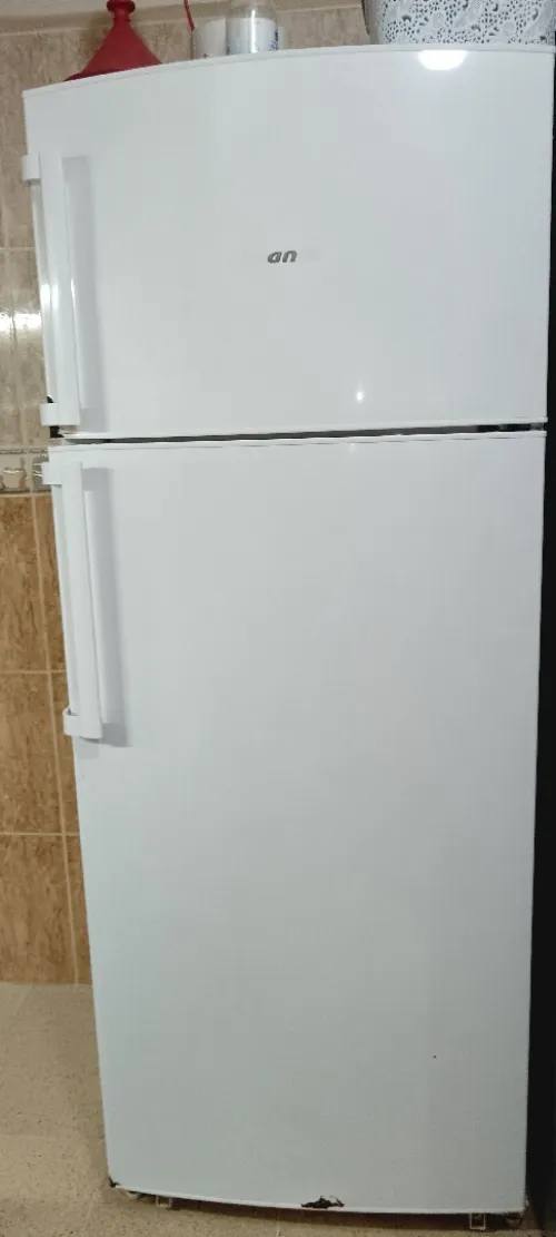 Réfrigérateur Brandt 455L