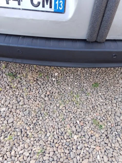 Renault Kangoo 2021 