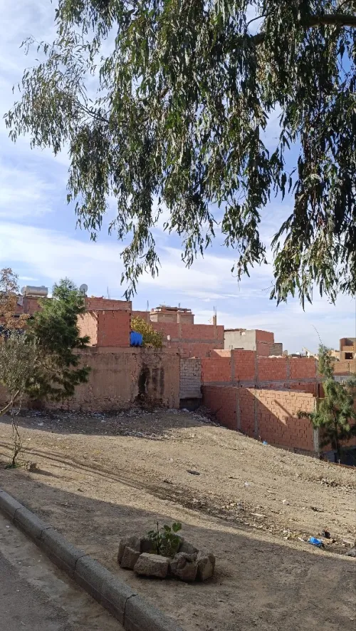 Vente Terrain Sidi Bel Abbès Sidi bel abbes