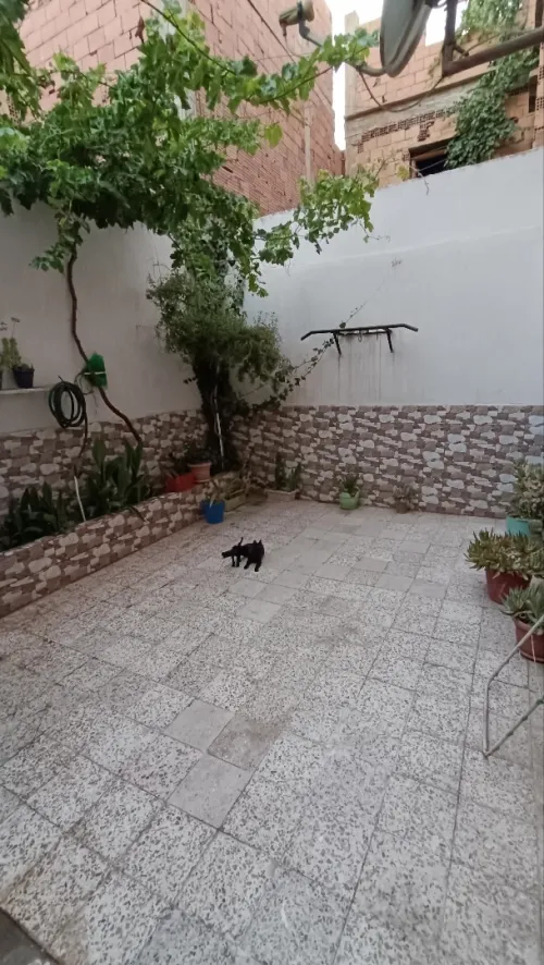 Vente Villa Sidi Bel Abbès Sidi bel abbes