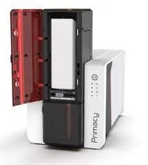 Ruban Evolis Primacy 2