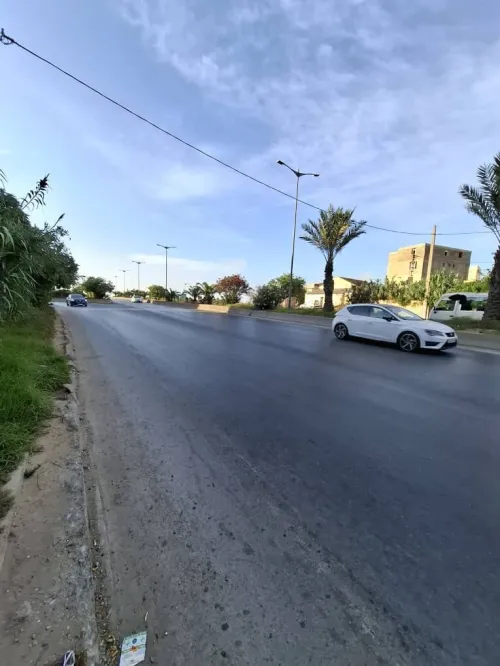 Vente Terrain Alger Bordj el kiffan