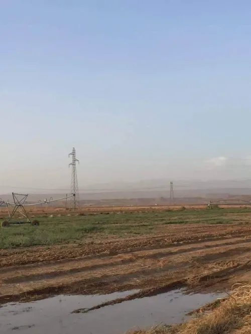 Vente Terrain Biskra Biskra