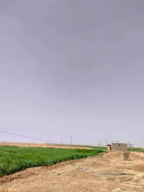 Vente Terrain Biskra Biskra