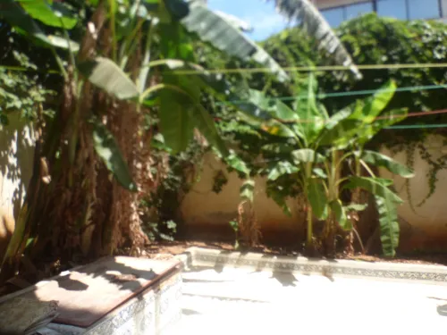 Location vacances Tipaza Tipaza