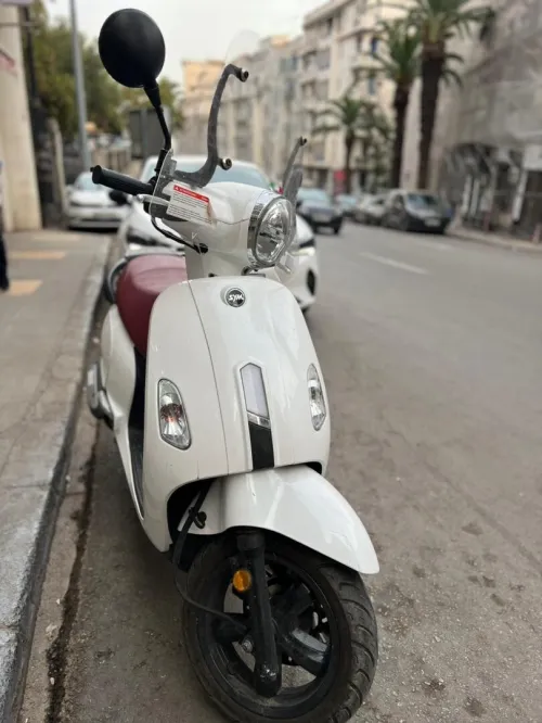 Sym Fiddel 4 2024