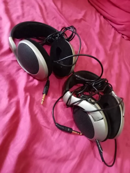 Casque Sennheiser HD 555
