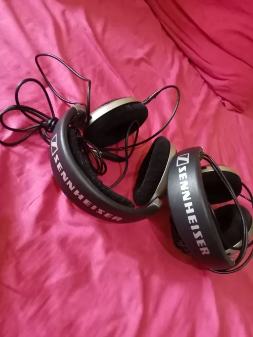 Casque Sennheiser HD 555