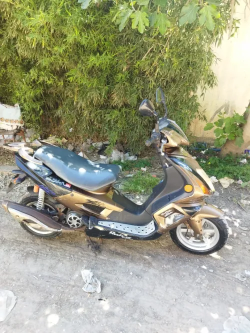 Rafinz Rafinz 2015