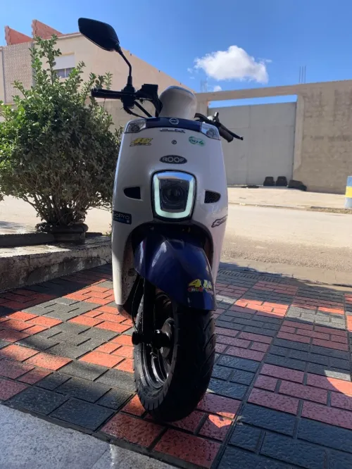 Cuxi1 linhai Vms 2023