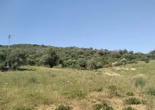 Vente Terrain Bouira Lakhdaria