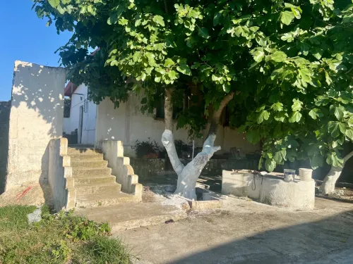 Vente Bungalow F3 El Tarf Ben mehdi