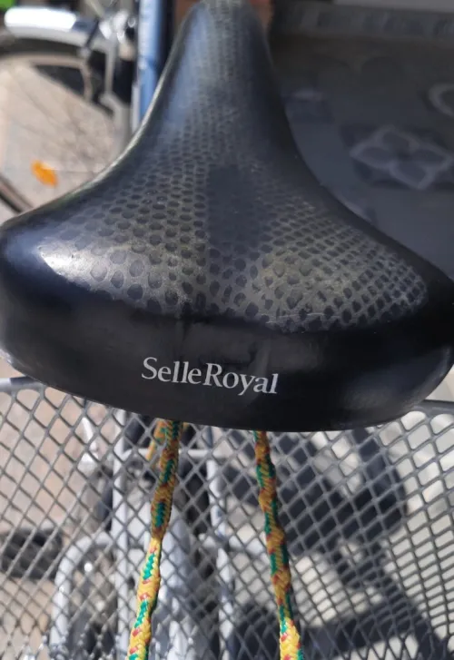 Vélo de ville 