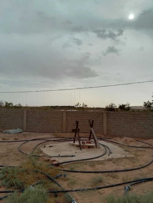 Vente Terrain Agricole Béchar Kenadsa