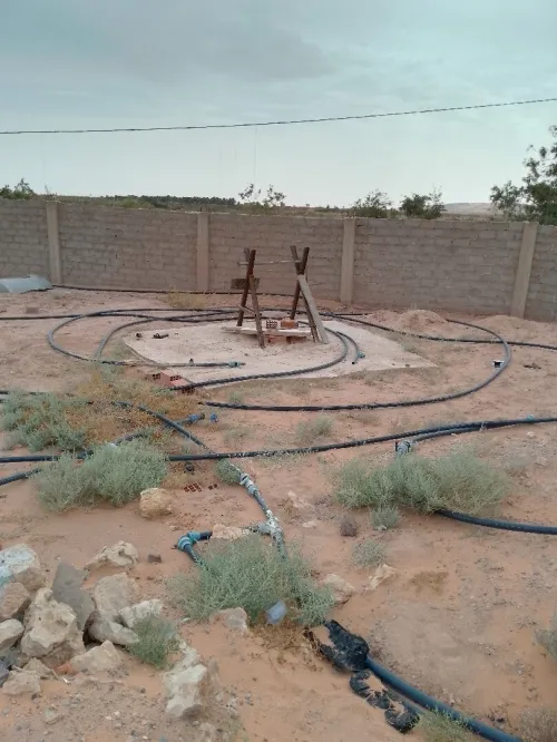 Vente Terrain Agricole Béchar Kenadsa