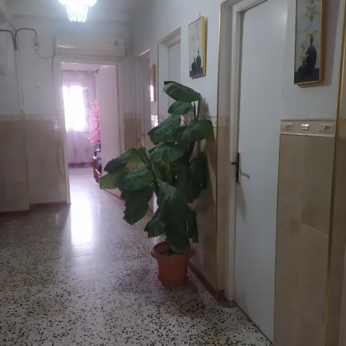 Vente Appartement F4 Sidi Bel Abbès Sidi bel abbes