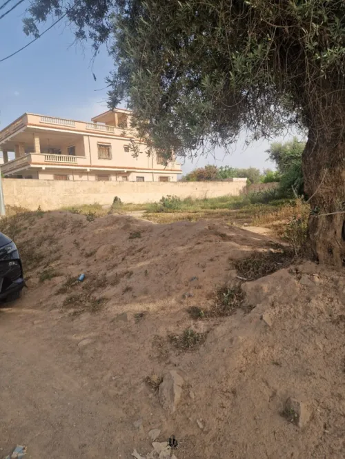 Vente Terrain Tlemcen Hennaya