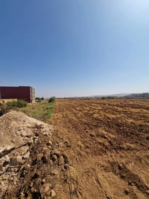 Vente Terrain Tlemcen Zenata