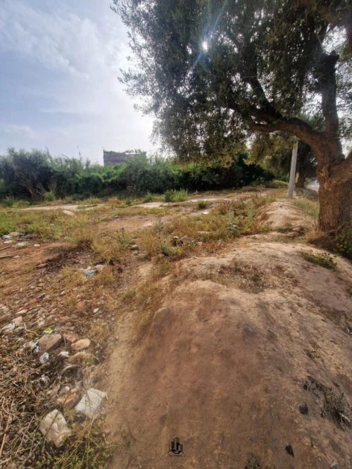 Vente Terrain Tlemcen Hennaya