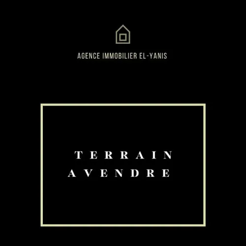Vente Terrain Tlemcen Mansourah