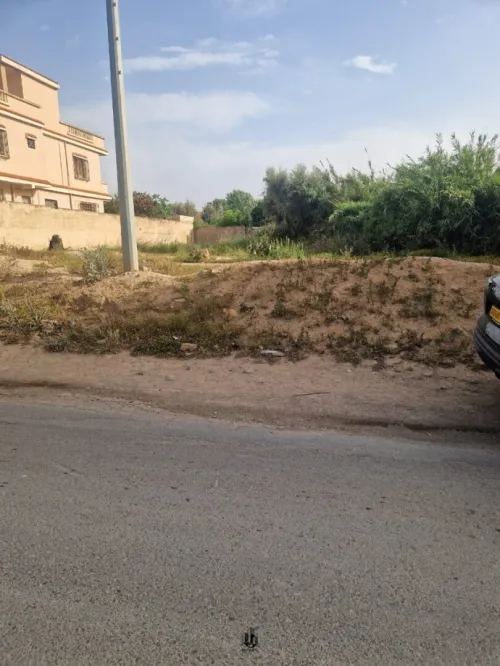 Vente Terrain Tlemcen Hennaya