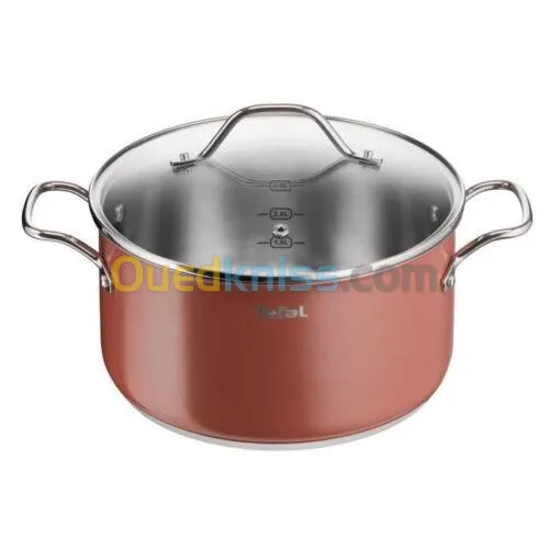 TEFAL MARMITE SENSATION 24CM  B9234604