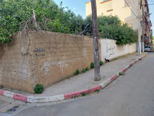 Vente Terrain Tipaza Kolea