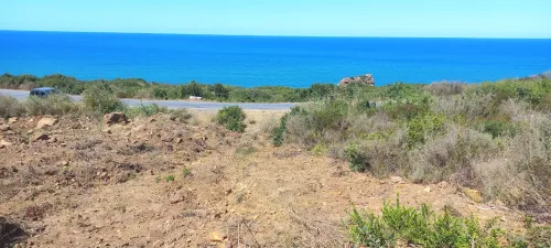 Vente Terrain Boumerdès Dellys