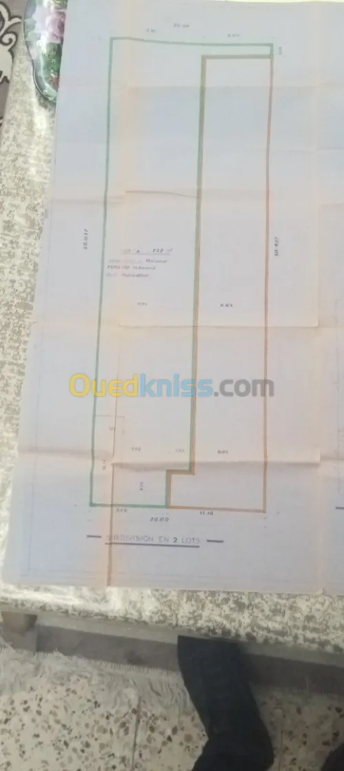 Vente Terrain Mostaganem Mostaganem