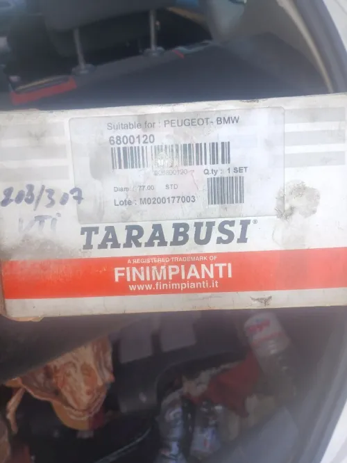 Tarabust