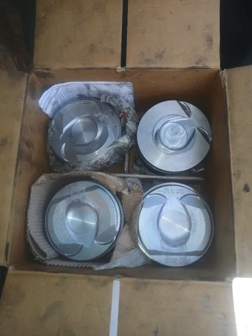 Tarabust