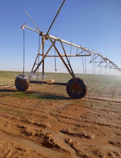 Vente Terrain Agricole Adrar Fenoughil