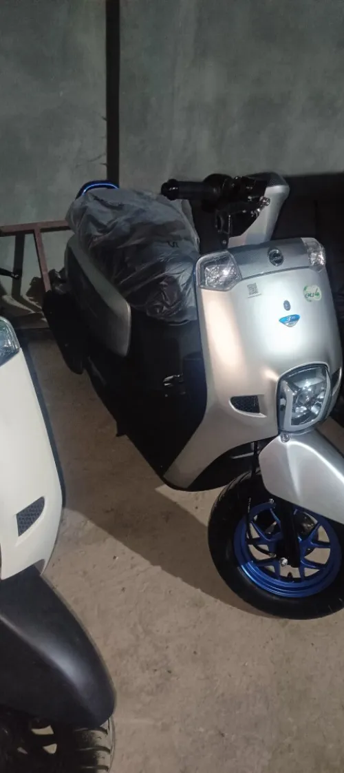 VMS Coxi1 2025